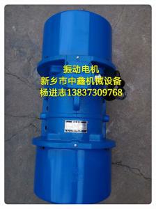 振動電機(jī)